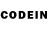 Псилоцибиновые грибы GOLDEN TEACHER Chima _