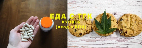 индика Абаза