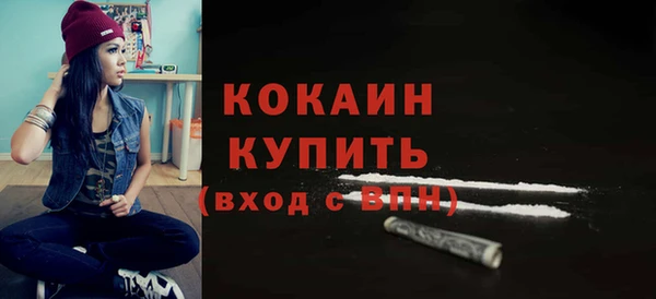 индика Абаза