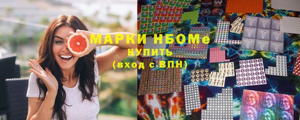 индика Абаза