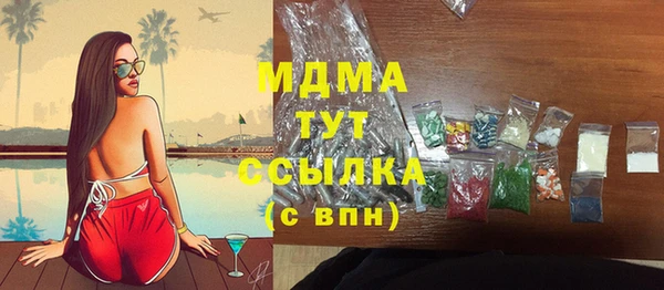 индика Абаза