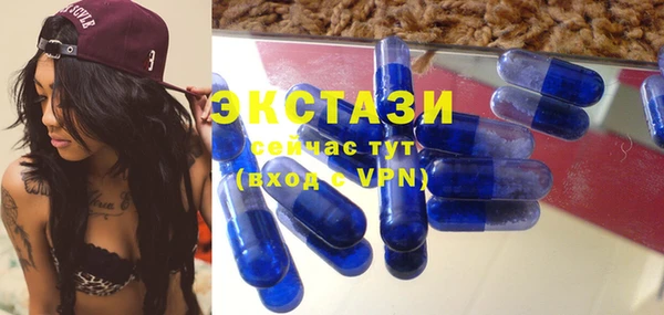 индика Абаза