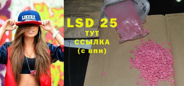 индика Абаза