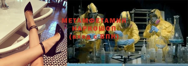 индика Абаза