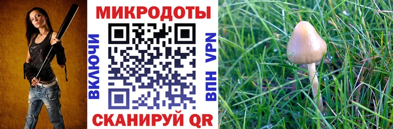 МЕГА ONION  Пыталово  Псилоцибиновые грибы мухоморы 